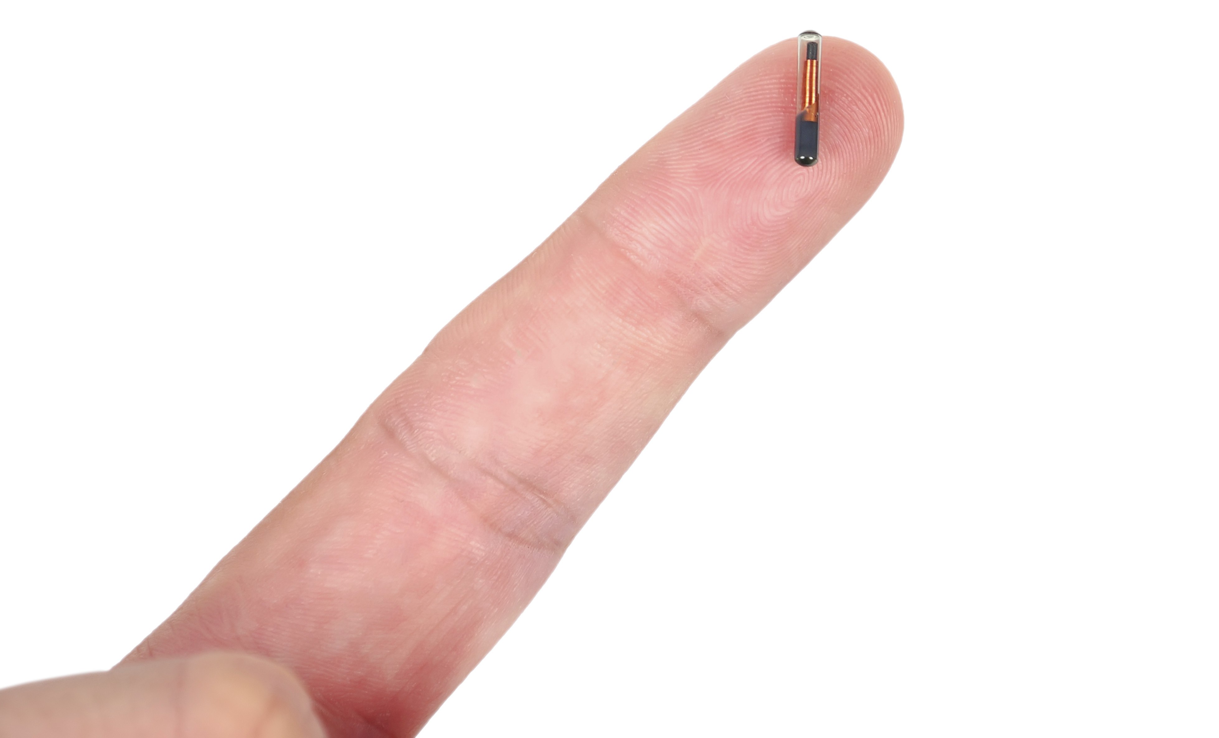 Mikrochip